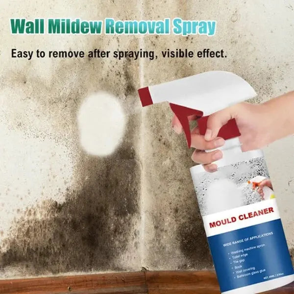 Rynx | High-Performance Anti-Mold Foam Spray – Deep Cleaning & PRedection