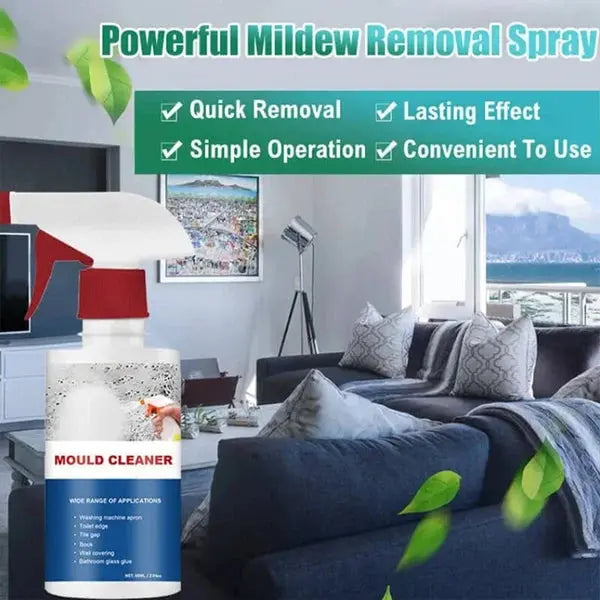 Rynx | High-Performance Anti-Mold Foam Spray – Deep Cleaning & PRedection