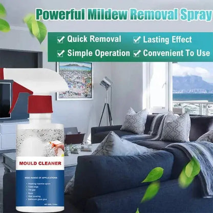 Rynx | High-Performance Anti-Mold Foam Spray – Deep Cleaning & PRedection