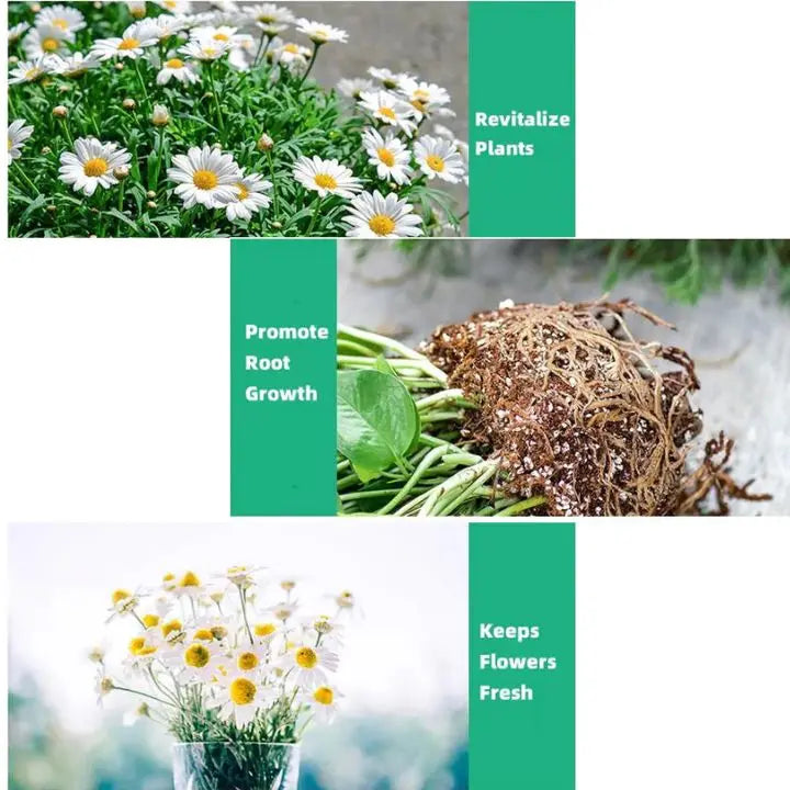 Rynx | Plant Growth Enhancer – Organic Root Activator