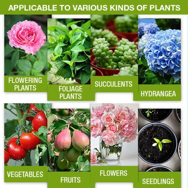Rynx | Plant Growth Enhancer – Organic Root Activator