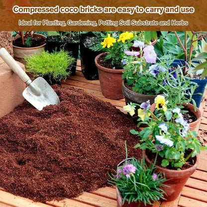 Rynx |  | Premium Organic Coconut Soil Brick – Promote Natural Plant Growth