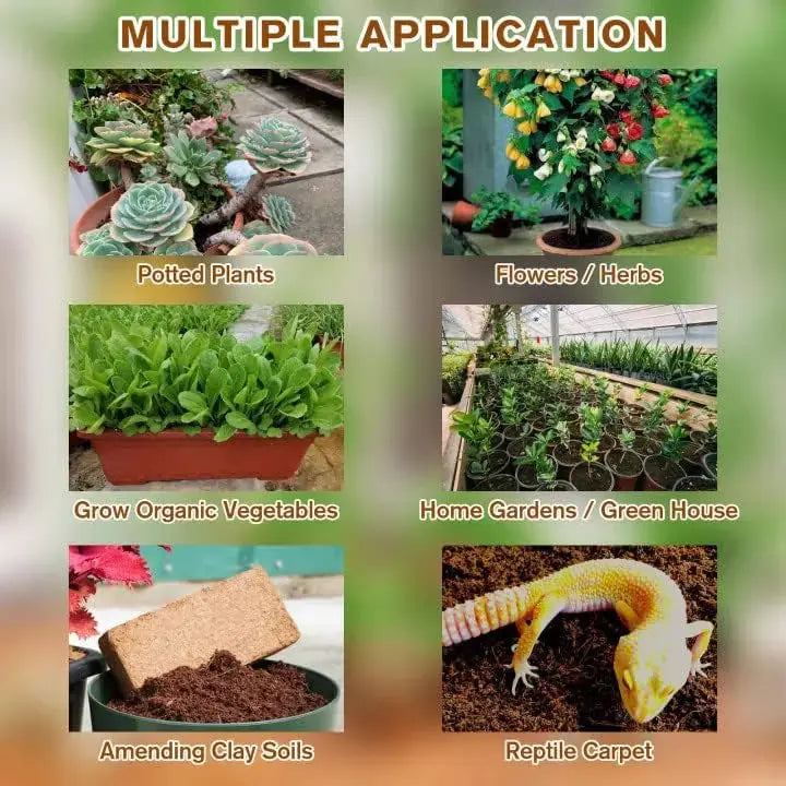 Rynx |  | Premium Organic Coconut Soil Brick – Promote Natural Plant Growth