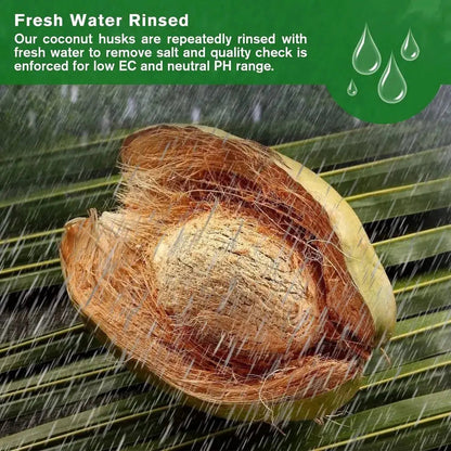 Rynx |  | Premium Organic Coconut Soil Brick – Promote Natural Plant Growth