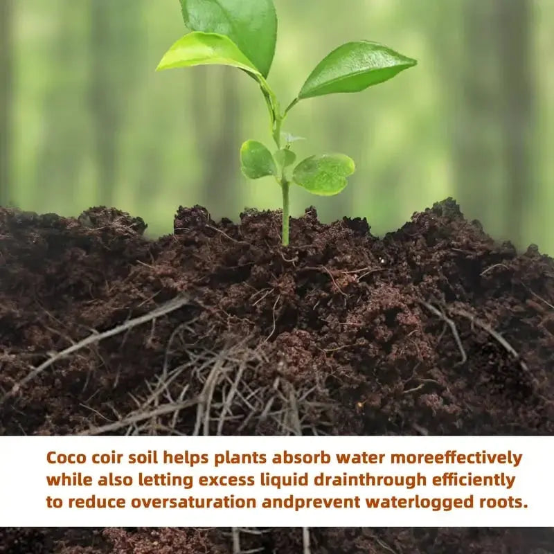 Rynx |  | Premium Organic Coconut Soil Brick – Promote Natural Plant Growth