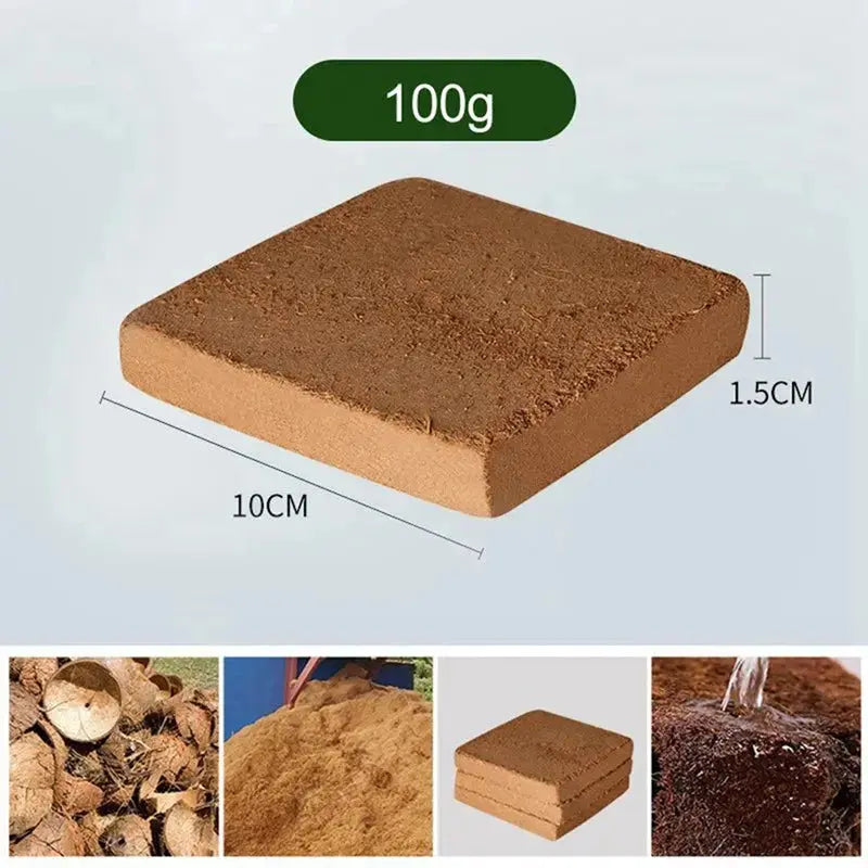 Rynx |  | Premium Organic Coconut Soil Brick – Promote Natural Plant Growth