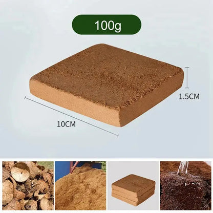 Rynx |  | Premium Organic Coconut Soil Brick – Promote Natural Plant Growth