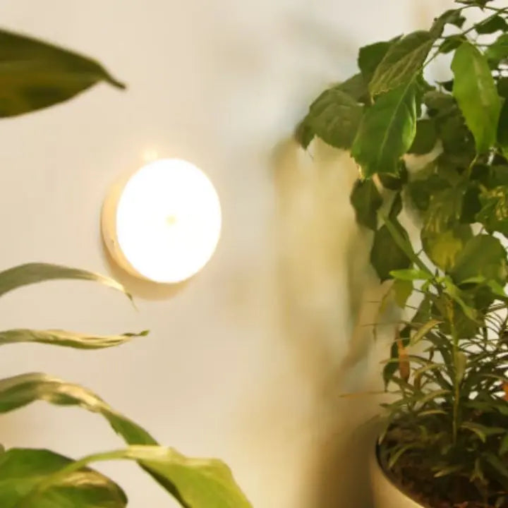 Rynx | Rechargeable Motion Sensor LED Night Light