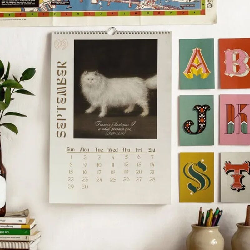 Rynx | Ugly Cats In Renaissance Painting 2024 Wall Calendar