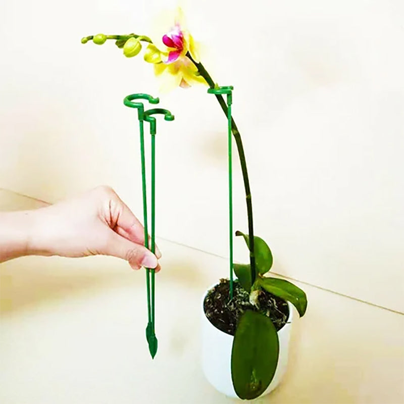 Rynx | Plant support stake trunk climbing solid support