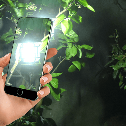Rynx | VintageGlow - Portable Retro Camping Lamp