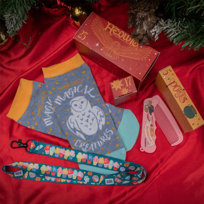 Rynx | Harry Advent Calendar 2024 Deluxe Edition