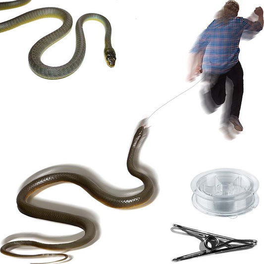 Rynx | Mischief Snake Toy