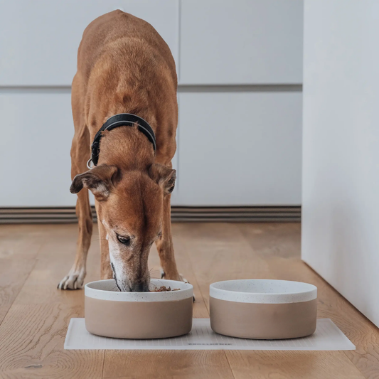 Rynx | HushDish - Ceramic Non-slip Dog Bowl