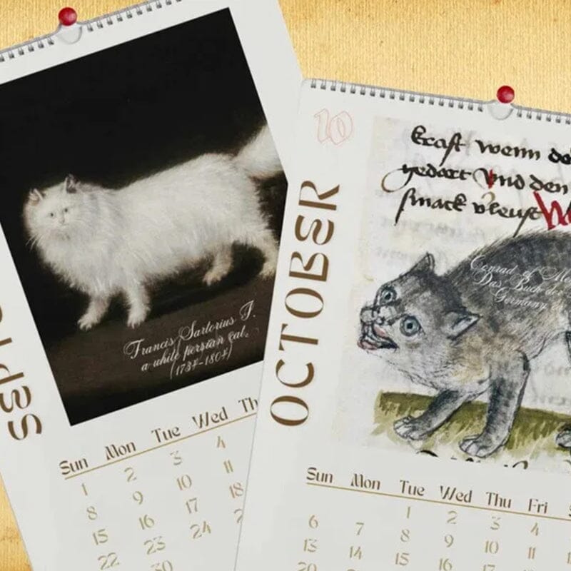 Rynx | Ugly Cats In Renaissance Painting 2024 Wall Calendar