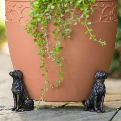 Rynx | Animal-Shaped Foot Pot (Set of 3)