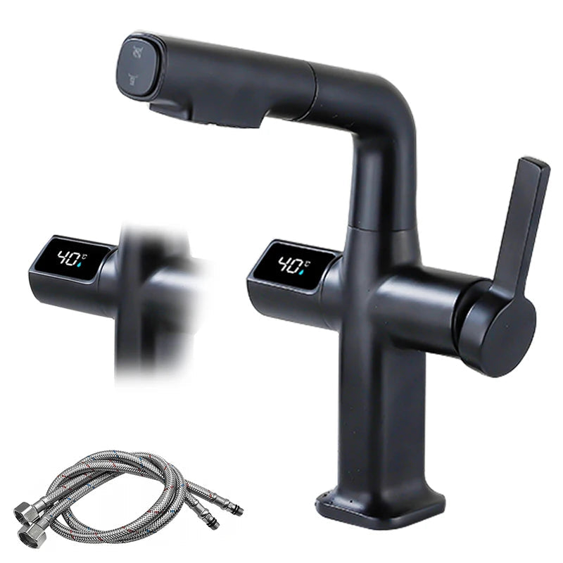 Rynx | Elegant House Brass Aqua View Bathroom Digital Faucet