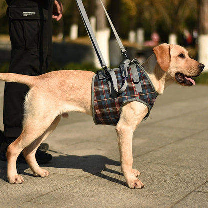 RYNX | Orthopedic Strap For Hind Legs