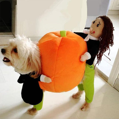 RYNX | Pet Costumes