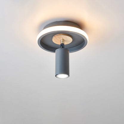 Rynx | IronLume Industrial Flush Spotlight | Modern Loft Style | 1-Light Ceiling Light | Sturdy Lighting for Home