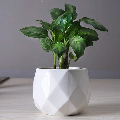 Rynx | GeoBloom Round Diamond Ceramic Succulent Pots | Modern Design | Various Sizes