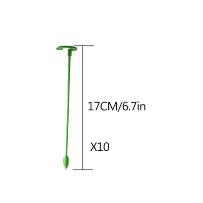 Rynx | Plant support stake trunk climbing solid support