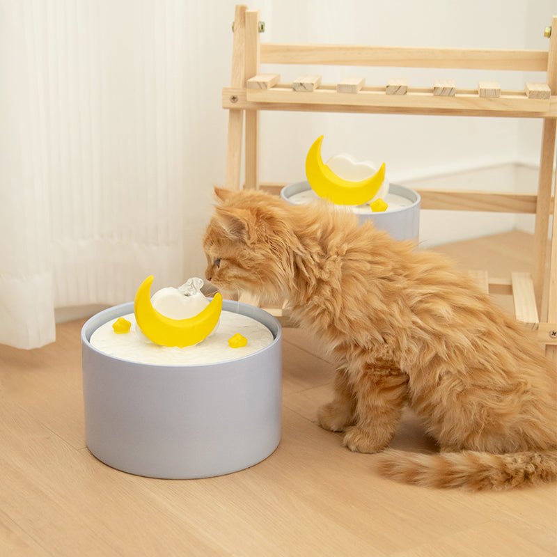 Rynx | Moonlight Cat Water Fountain
