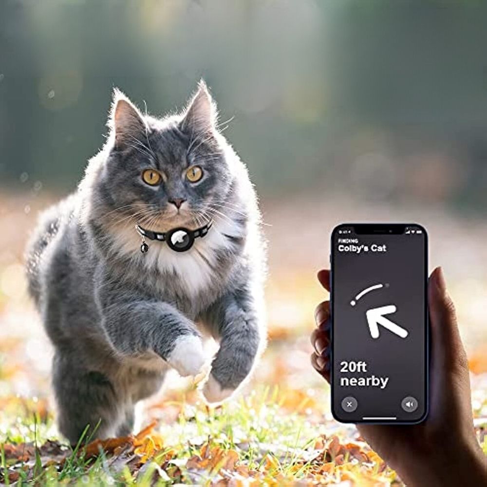 Rynx | Cat collar with safety clasp - Milo