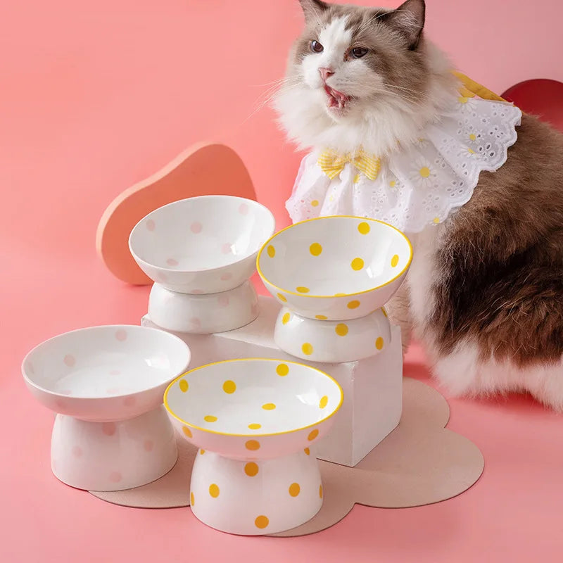 Rynx | Elevated ceramic pet bowl for small dogs and cats