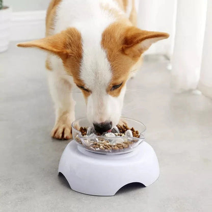 Rynx | 15° Tilt Pet Bowl with Non-Slip Stand