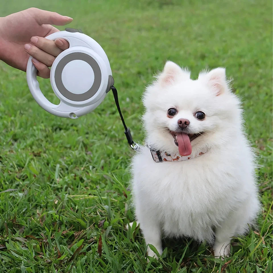 Rynx | 5m Retractable Dog Leash with Anti-Slip Handle and One-Handed Brake for Small to Medium Dogs