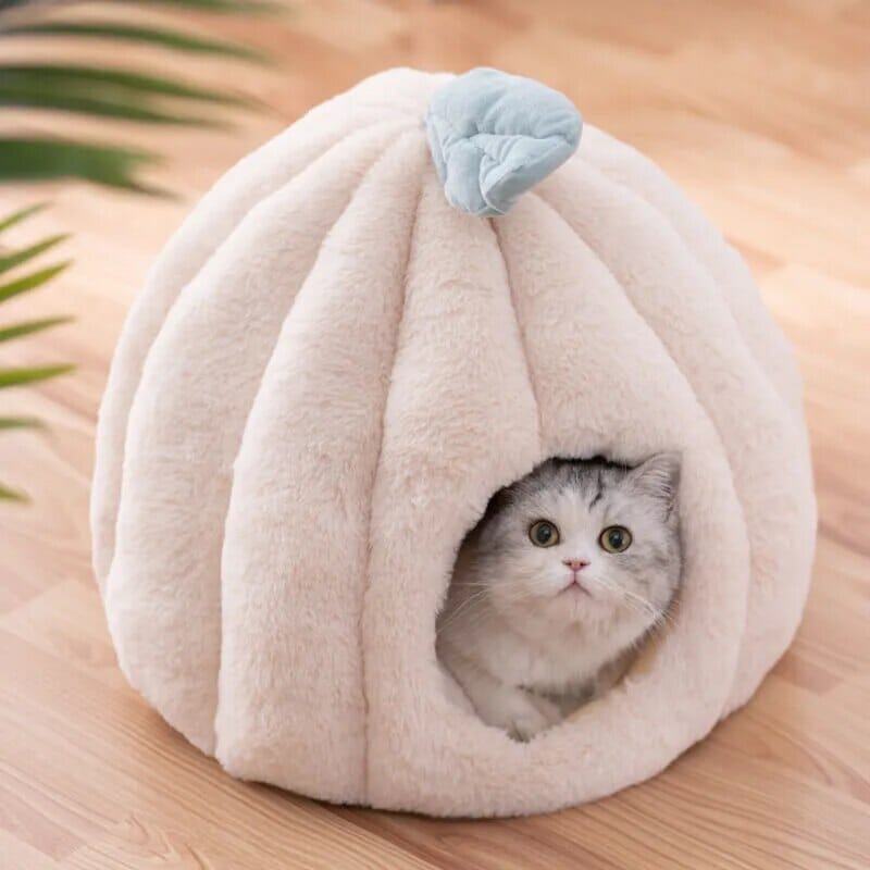 Rynx | feline fortress