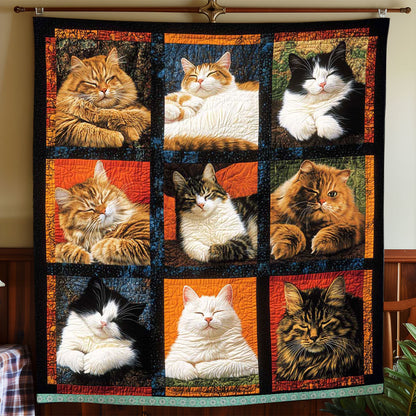 Rynx | 9 Sleeping Cat Blanket