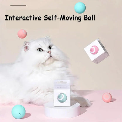 Rynx | 2-in-1 Hunting Toy for Cats – Promotes Hunting Instinct & Movement
