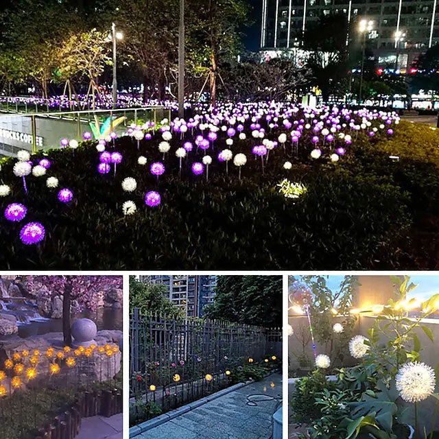 Rynx | 2-Pack: Outdoor Sun Dandelion Grass Light