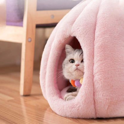 Rynx | feline fortress