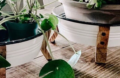 Rynx | Enamel Basins Plant Pots, Set of 2
