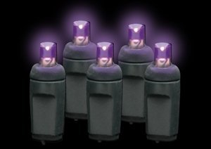 Rynx | Omg! Premium quality 5Mm 50 Led purple frosted decorative lights string with black wire