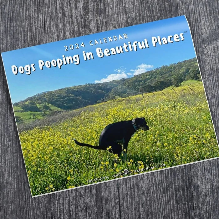 Rynx | 2024 Funniest Calendar-Dogs Pooping In Beautiful Places | "Artistic Expression" Furry Friends