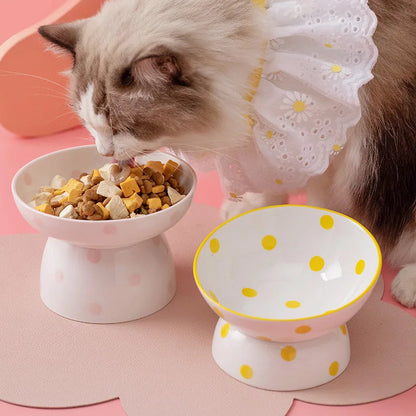 Rynx | Elevated ceramic pet bowl for small dogs and cats