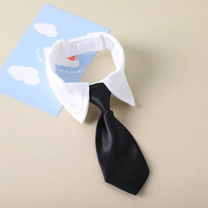 Rynx | formal collar