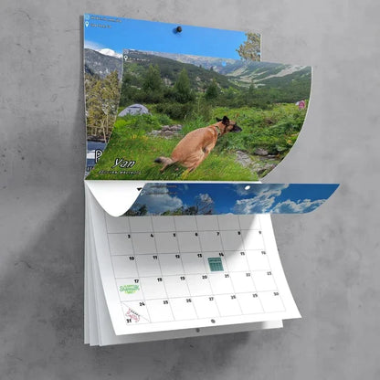 Rynx | 2024 Funniest Calendar-Dogs Pooping In Beautiful Places | "Artistic Expression" Furry Friends