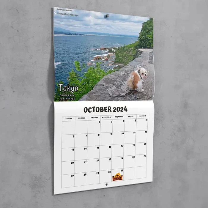 Rynx | 2024 Funniest Calendar-Dogs Pooping In Beautiful Places | "Artistic Expression" Furry Friends