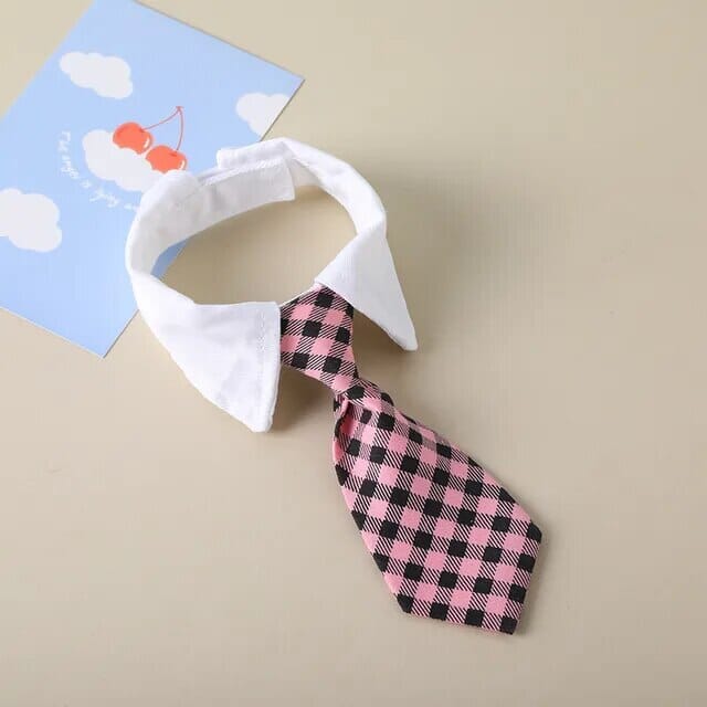 Rynx | formal collar