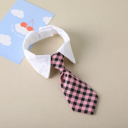 Rynx | formal collar