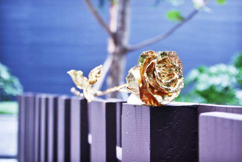 Rynx | 24K Gold Roses