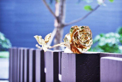 Rynx | 24K Gold Roses