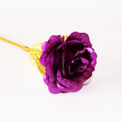 Rynx | 24K Gold Roses