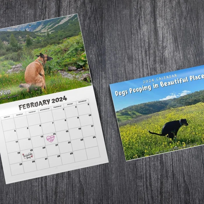 Rynx | 2024 Funniest Calendar-Dogs Pooping In Beautiful Places | "Artistic Expression" Furry Friends