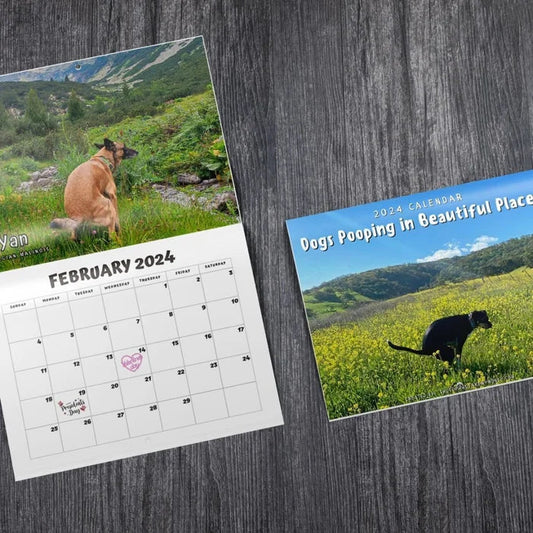 Rynx | 2024 Funniest Calendar-Dogs Pooping In Beautiful Places | "Artistic Expression" Furry Friends
